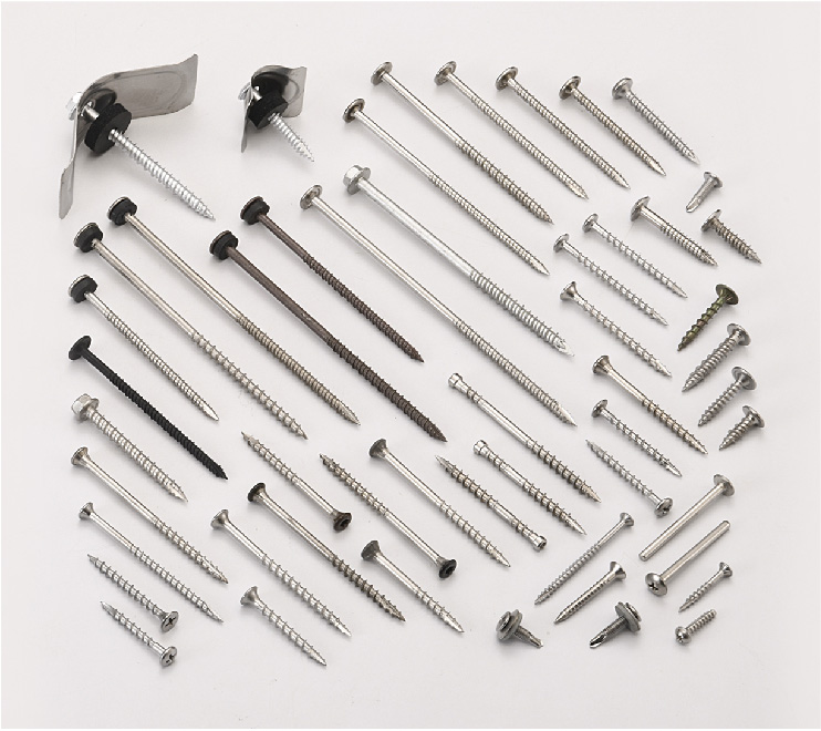 Stainless Steel Screws Stainless Steel Screws